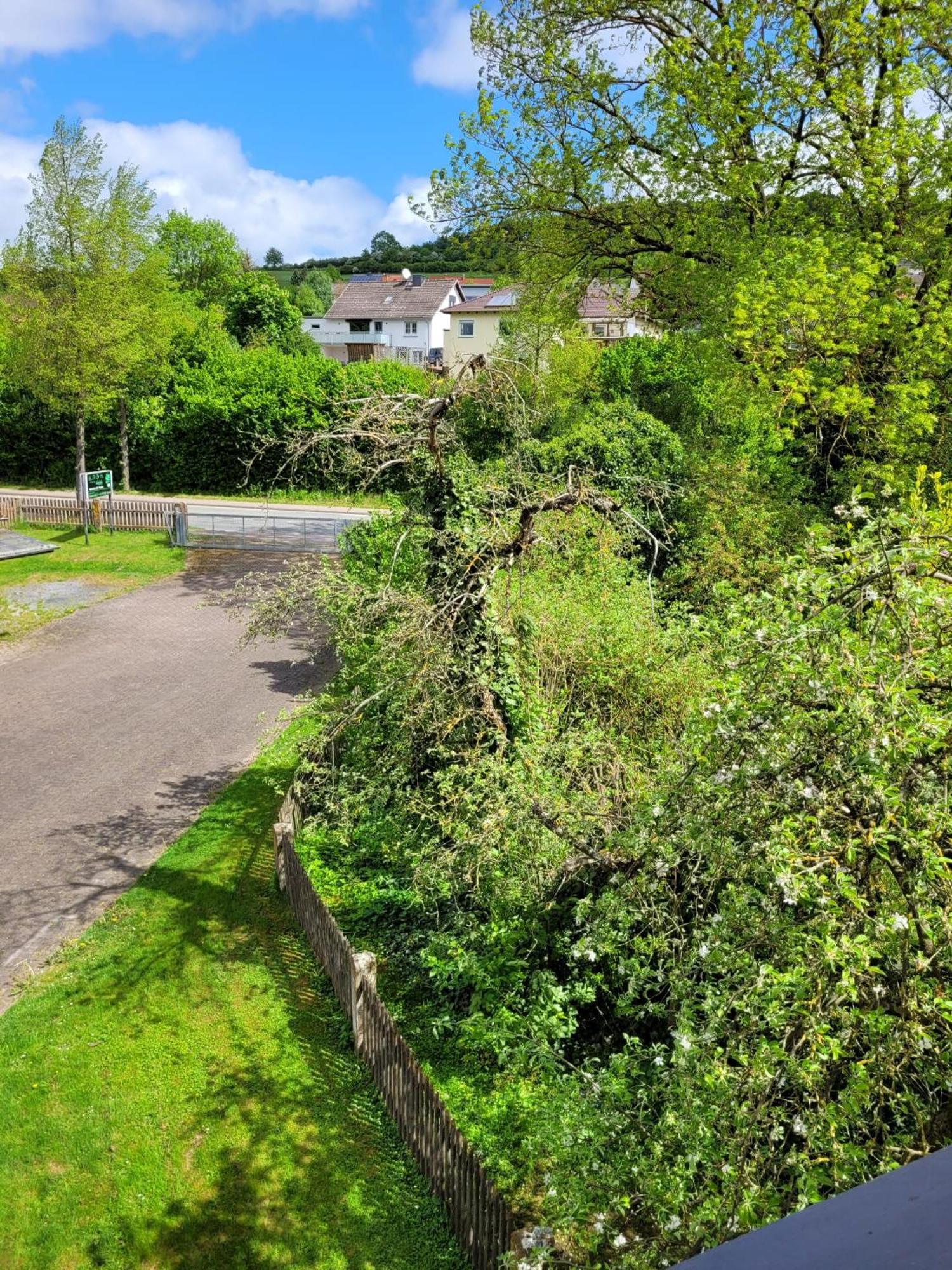 Ferienwohnung Zum Sollingtor Dassel Esterno foto