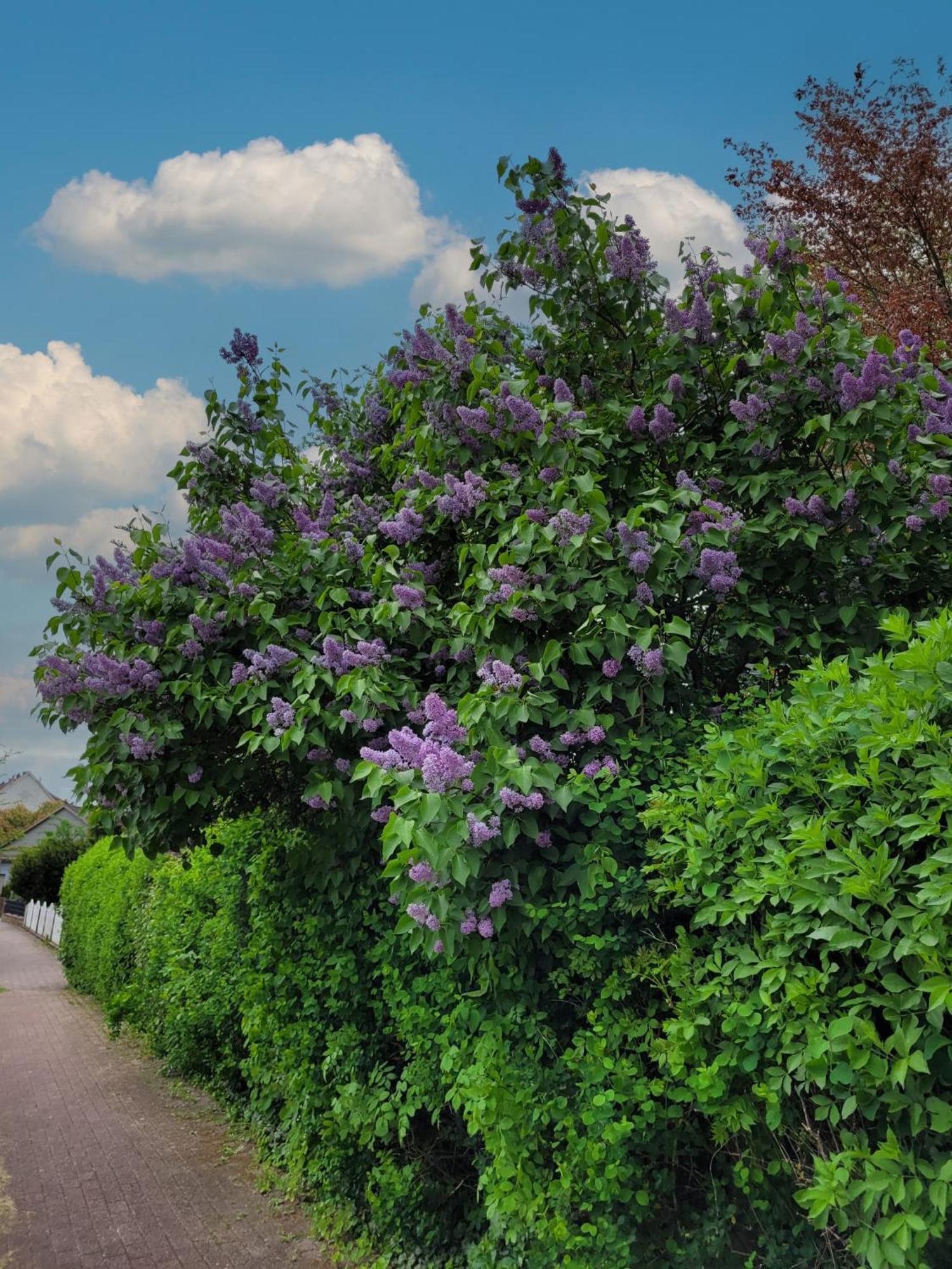 Ferienwohnung Zum Sollingtor Dassel Esterno foto
